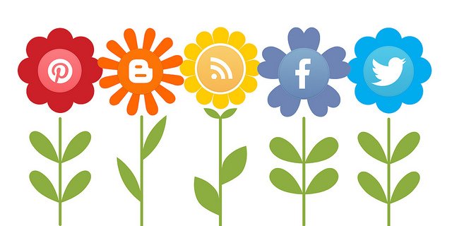 social media logos on flowers