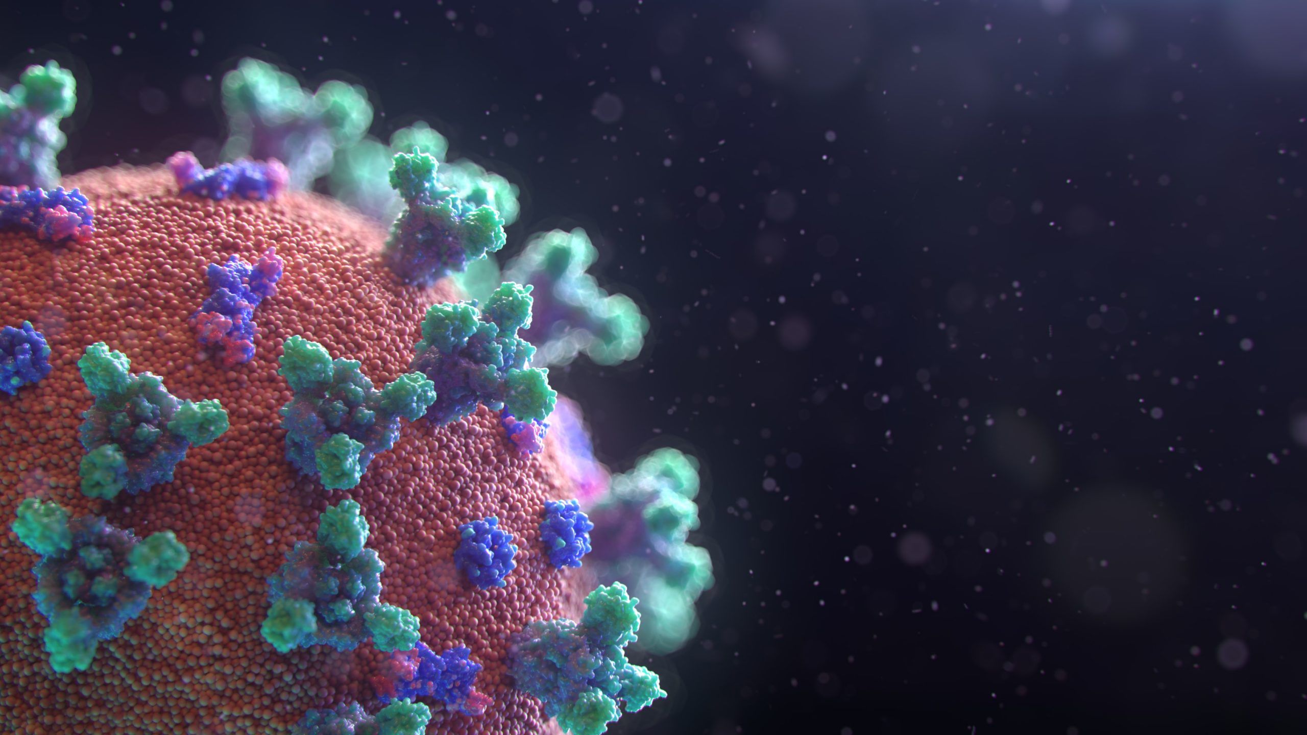 fusion-medical-animation-Coronavirus